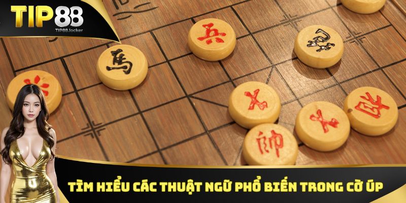 Tìm hiểu các thuật ngữ phổ biến trong Cờ Úp